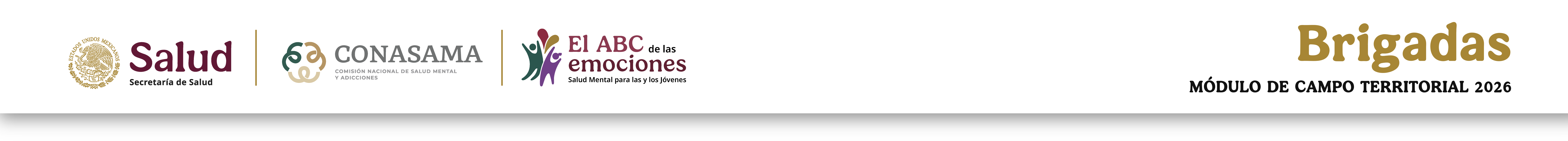 Banner Institucional